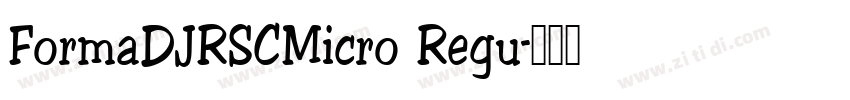 FormaDJRSCMicro Regu字体转换